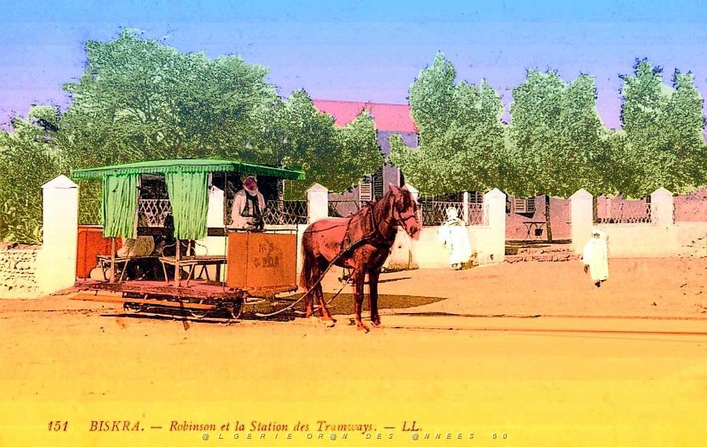 Biskra - Tramwways.jpg